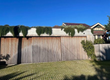 garage driveway