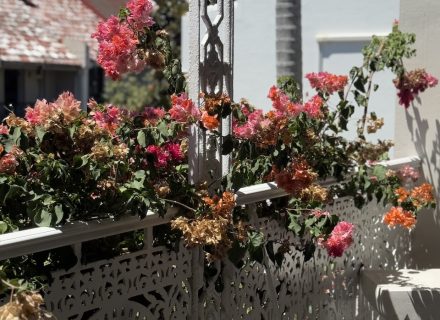 ELOPE, PADDINGTON69 BALCONY
