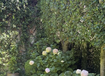 ELOPE, PADDINGTON94 GARDEN FLOWERS