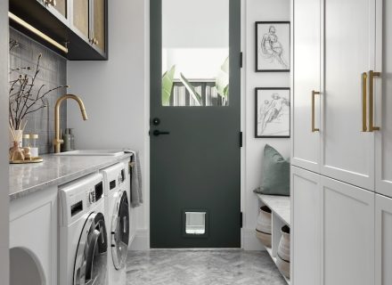 Ebony Shadow, Somerton Park 13