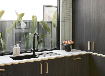 Ebony Shadow, Somerton Park 32