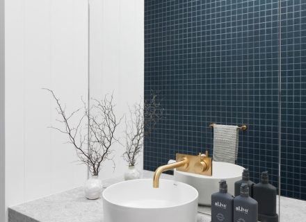 Ebony Shadow, Somerton Park 34