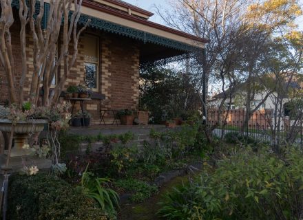 Edith, Essendon_25
