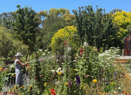 El Dorado, Gherang-25