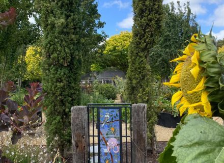 El Dorado, Gherang-31