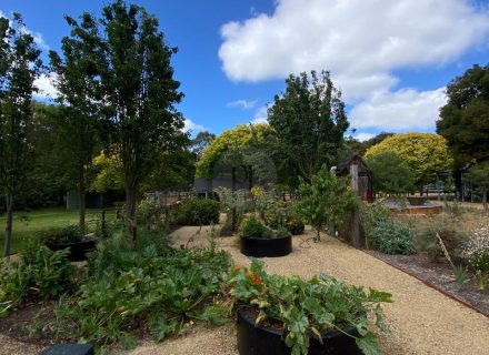 El Dorado, Gherang-32