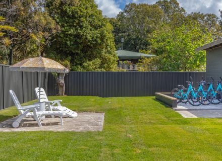 backyard pool garden established