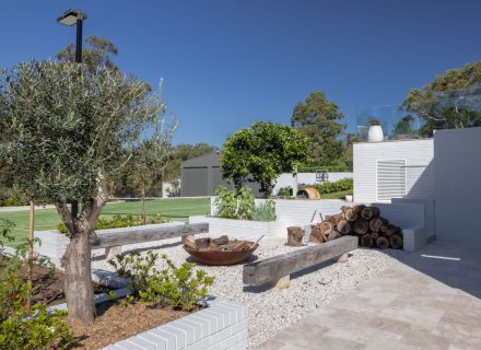 backyard garden established