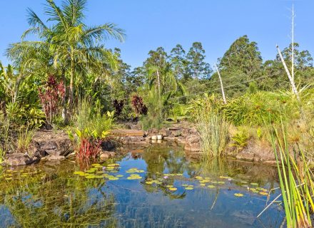Escarpment, Bonogin-4