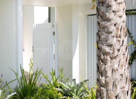 Espirito, Palm Beach-01