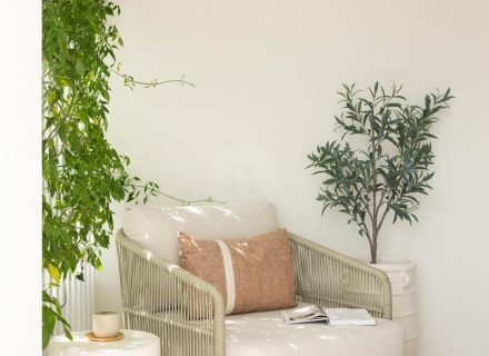 Espirito, Palm Beach-36