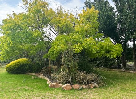 Eton Villa, Frankston South-06