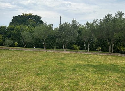 garden established pool