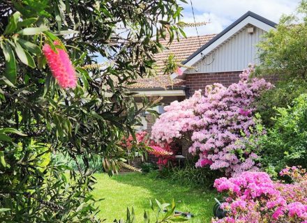 facade garage driveway