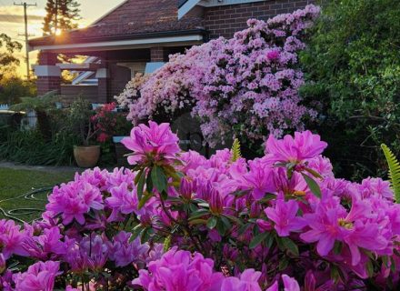 kitchen living room dining space bathroom bedroom childrens home office laundry