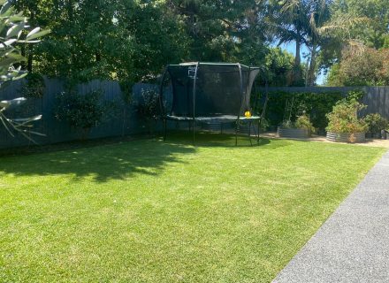 backyard garden established pool