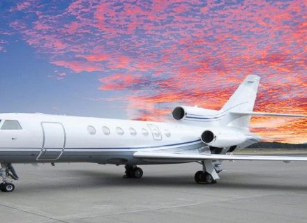 facade backyard garden established driveway pool outdoor area