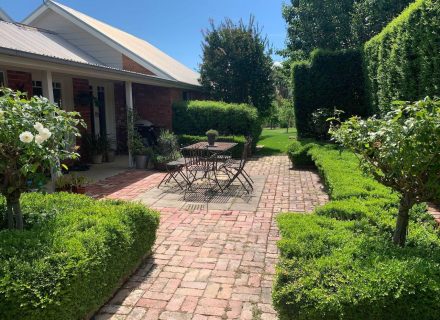 outdoor area garden established