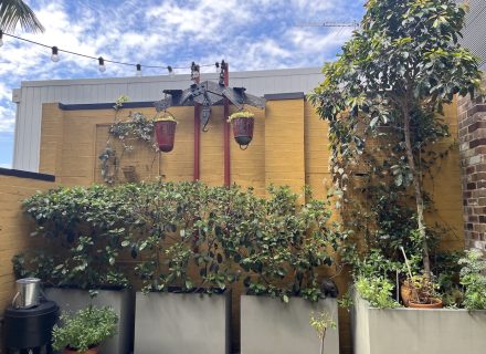 Fazioli, Erskineville_30