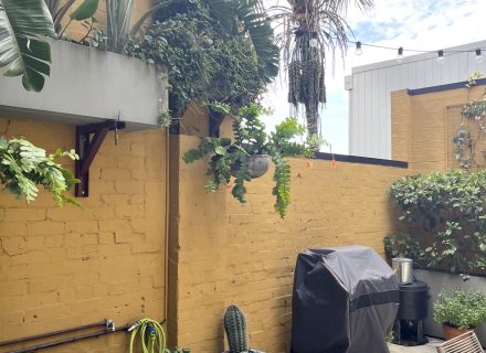 Fazioli, Erskineville_5