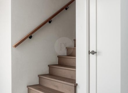 Fidèle, East Corrimal-30