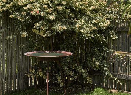 gardens established