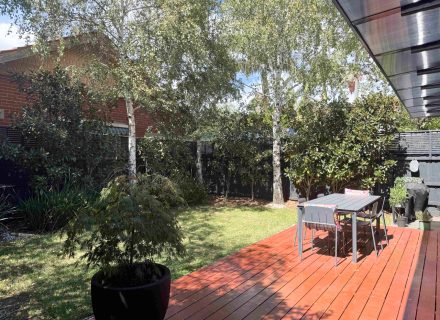 outdoor area garden established