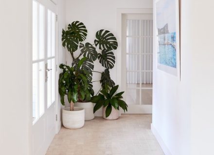 Foliar Cottage, Avalon Beach 33