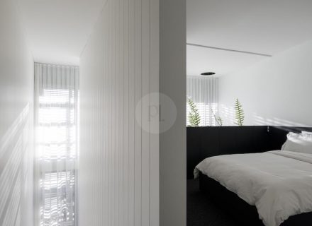 Forge Loft, Rosebury 7