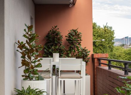 outdoor area