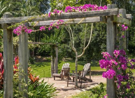 GARDEN-Bouganvillea_preview-1-1024x683-1.jpg