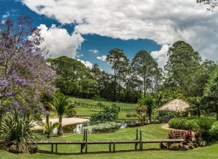 GARDEN-Lake-bridge_preview-1024x683-1.jpg