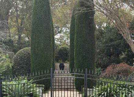 GARDENS 18