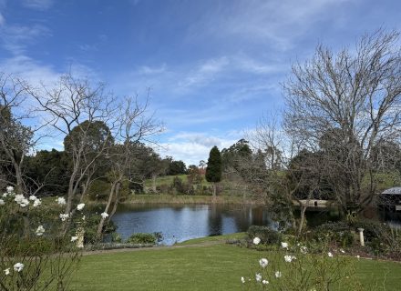 GARDENS 19