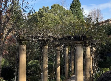 GARDENS 42