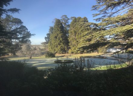 garden established
