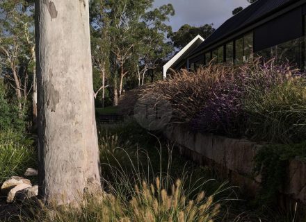 Golden Hour, Middle Dural NEW 58
