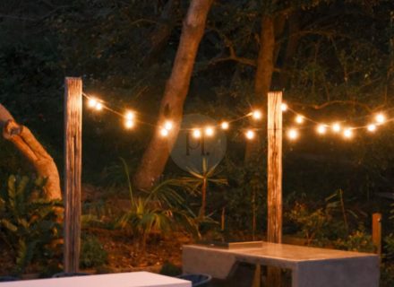 Gone Surfing, Yamba-36