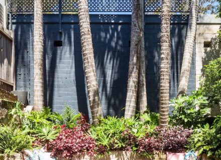 outdoor area backyard