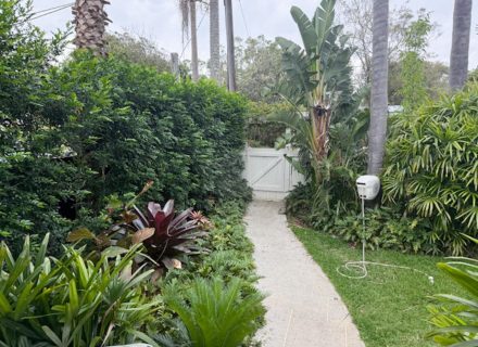 Green Gable House, Avalon Beach-33