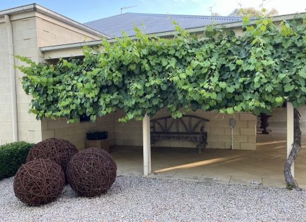Grove Estate, Benalla 07