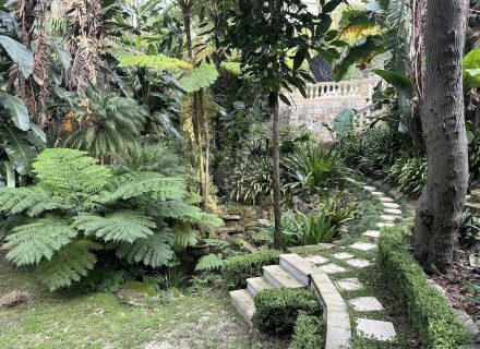 HAMLET HOUSE LOWER GARDENS24