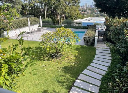 backyard garden established