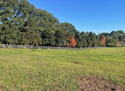 Harridan, Tuckombil-24