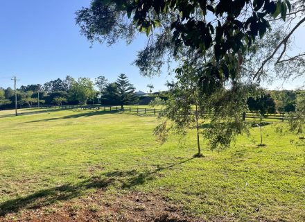 Harridan, Tuckombil-25