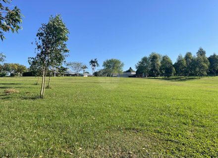 Harridan, Tuckombil-27