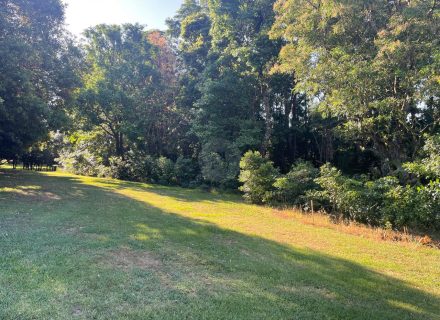 Harridan, Tuckombil-30