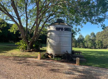 Harridan, Tuckombil-36