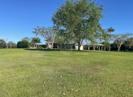 Harridan, Tuckombil-38