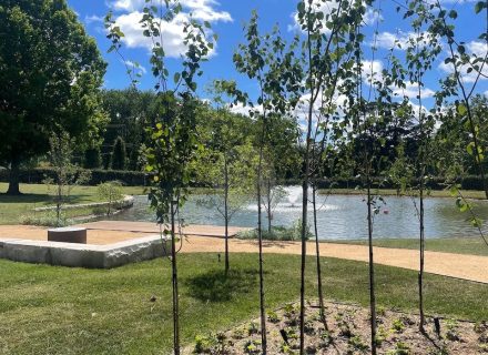 Heatherbell, Exeter 109